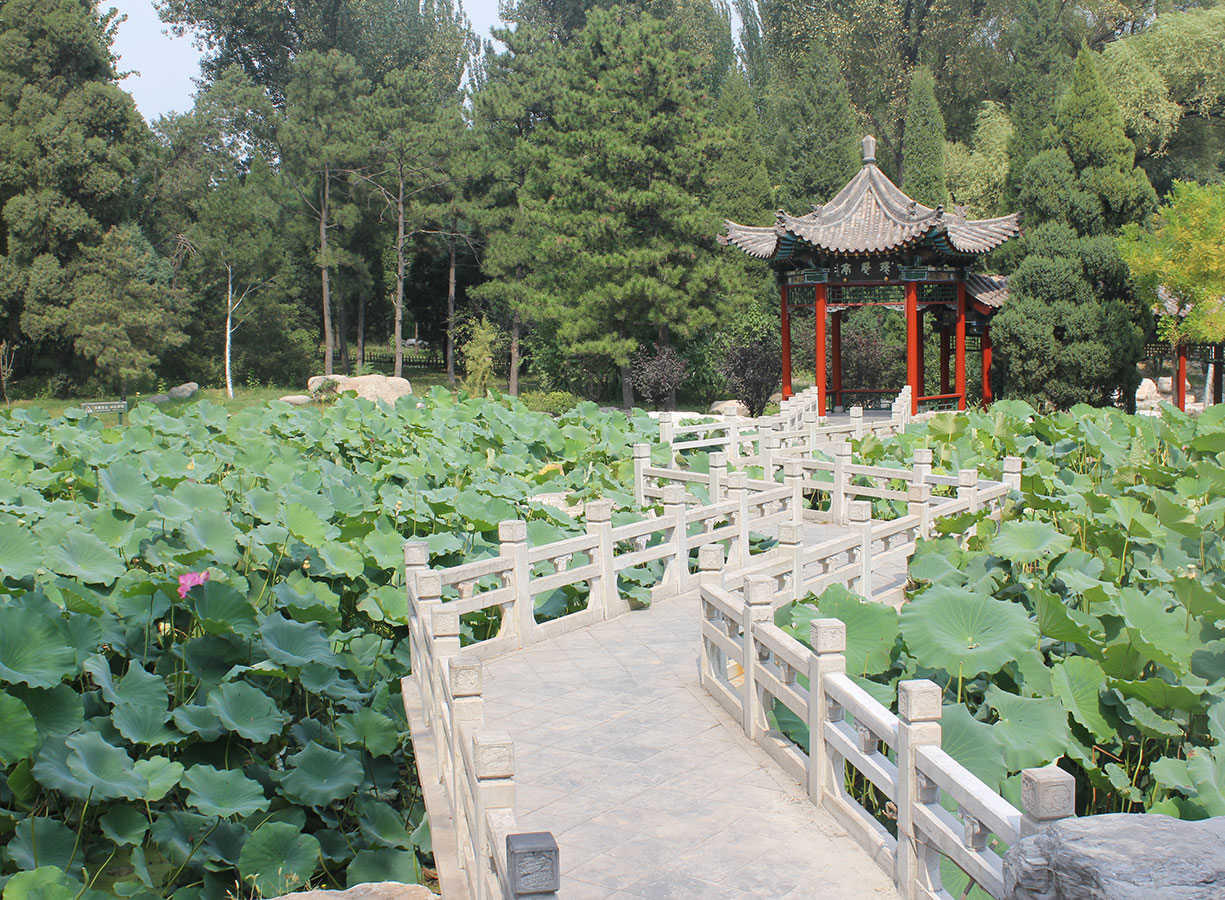 技術(shù)力量雄厚