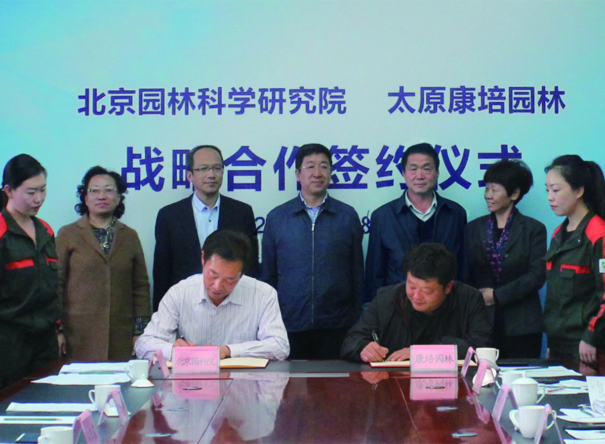 技術(shù)力量雄厚